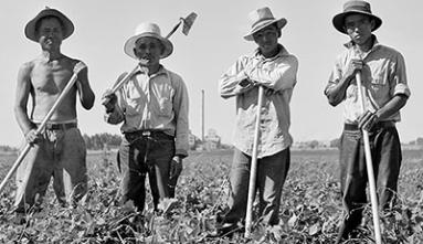 Black and white image of four farmers holding farming tools on the sugar beet farm